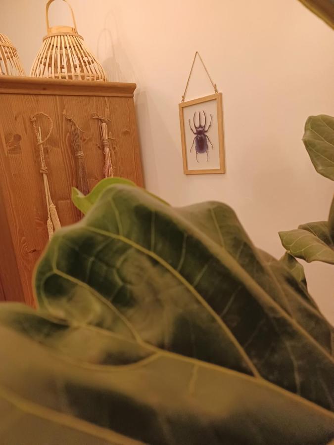 75M2 Indoor Glamping Scheveningen Appartamento L'Aia Esterno foto