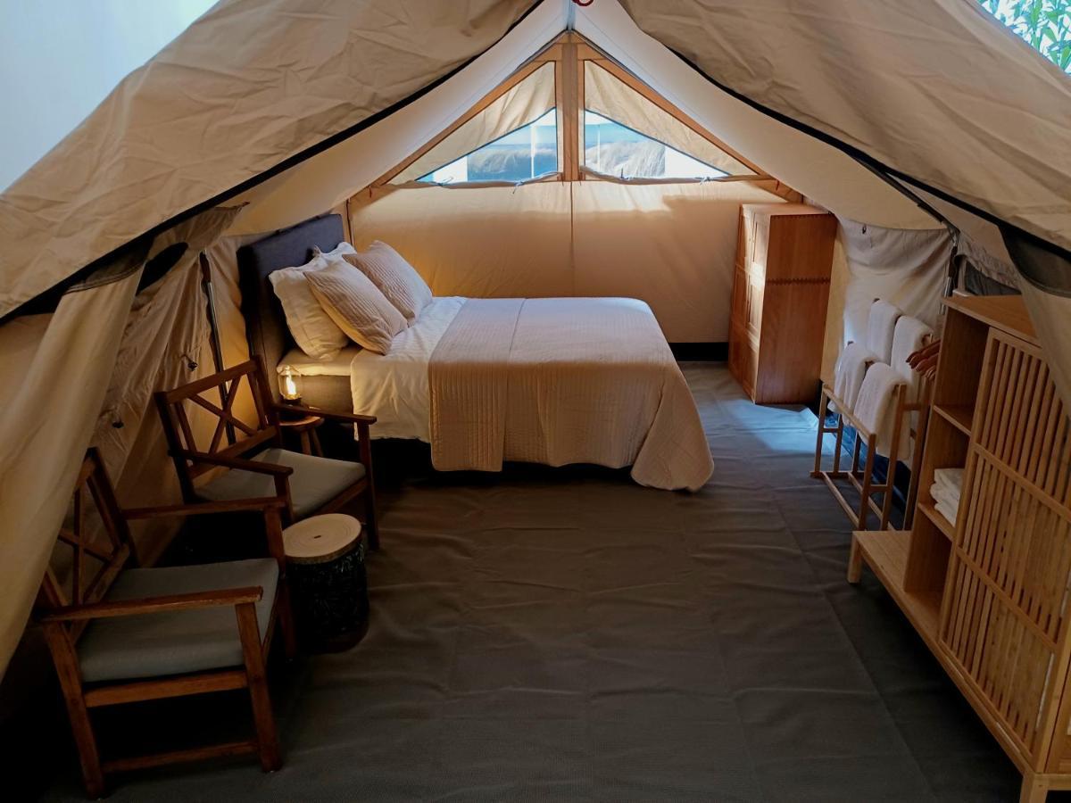 75M2 Indoor Glamping Scheveningen Appartamento L'Aia Esterno foto