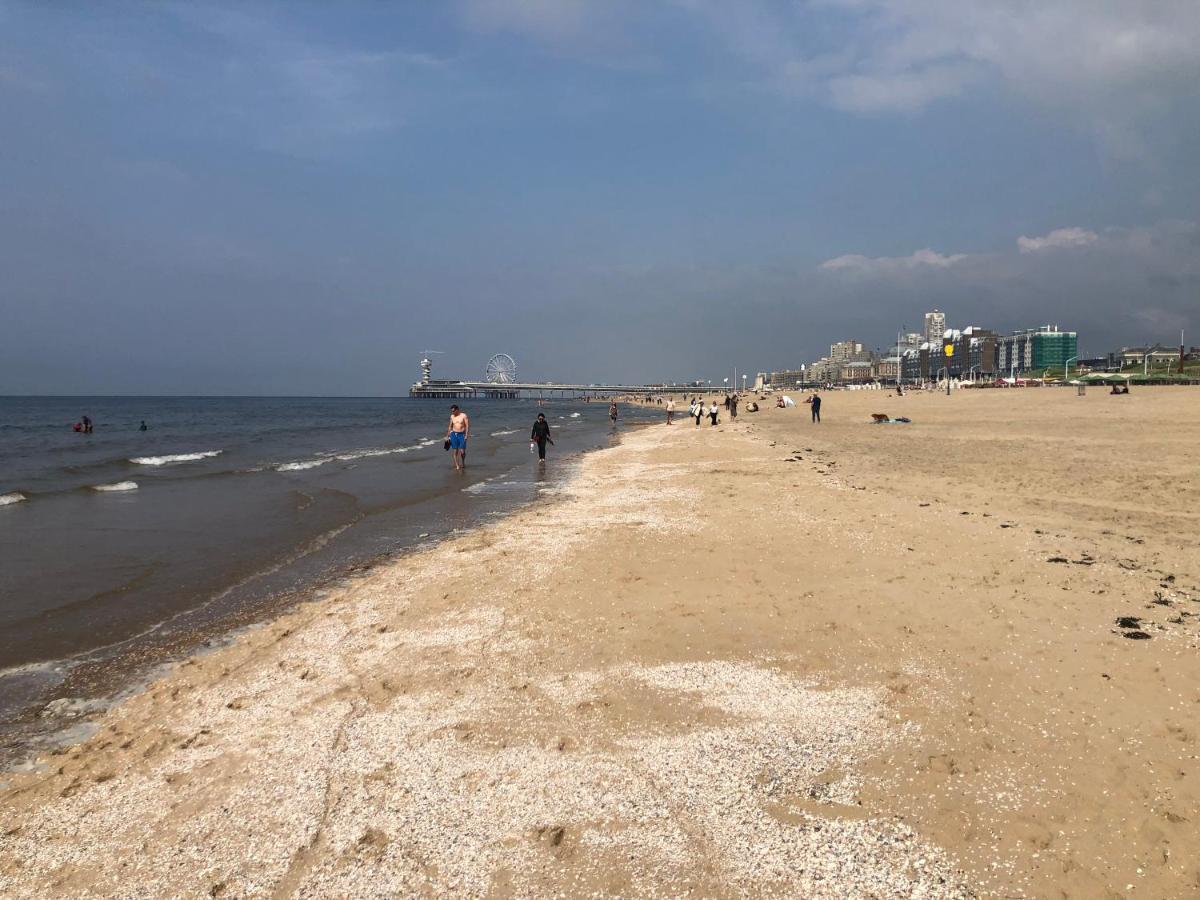 75M2 Indoor Glamping Scheveningen Appartamento L'Aia Esterno foto